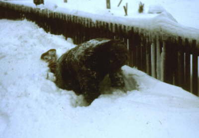 Spieler im Schnee